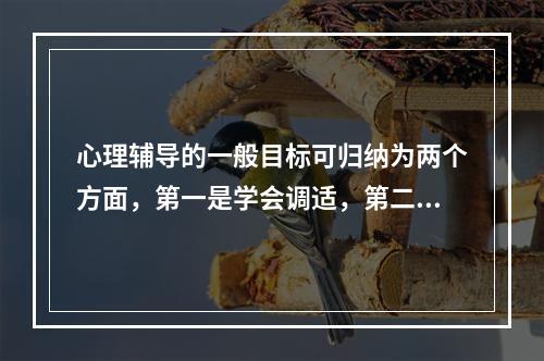 心理辅导的一般目标可归纳为两个方面，第一是学会调适，第二是（