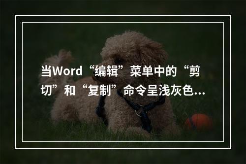 当Word“编辑”菜单中的“剪切”和“复制”命令呈浅灰色而不