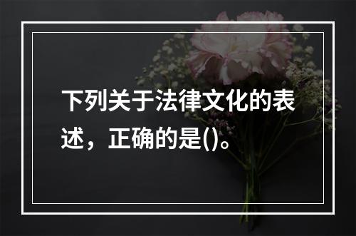 下列关于法律文化的表述，正确的是()。