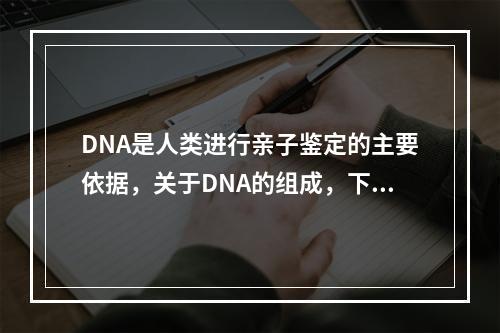 DNA是人类进行亲子鉴定的主要依据，关于DNA的组成，下面说