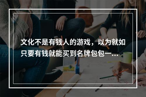 文化不是有钱人的游戏，以为就如只要有钱就能买到名牌包包一样，