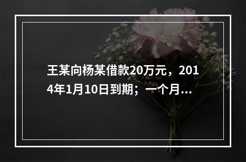 王某向杨某借款20万元，2014年1月10日到期；一个月后，