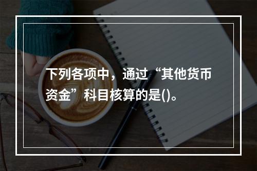 下列各项中，通过“其他货币资金”科目核算的是()。