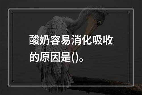 酸奶容易消化吸收的原因是()。