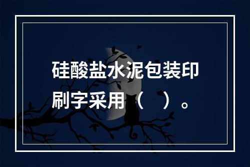 硅酸盐水泥包装印刷字采用（　）。