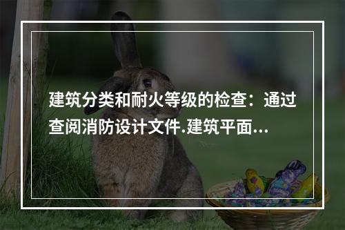 建筑分类和耐火等级的检查：通过查阅消防设计文件.建筑平面图.