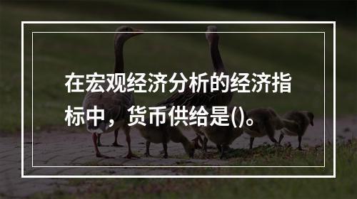 在宏观经济分析的经济指标中，货币供给是()。