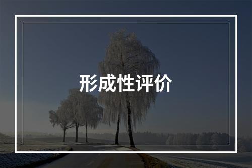 形成性评价