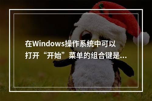 在Windows操作系统中可以打开“开始”菜单的组合键是()