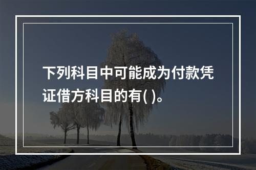 下列科目中可能成为付款凭证借方科目的有( )。