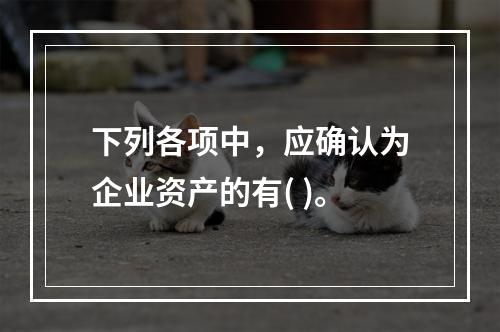 下列各项中，应确认为企业资产的有( )。