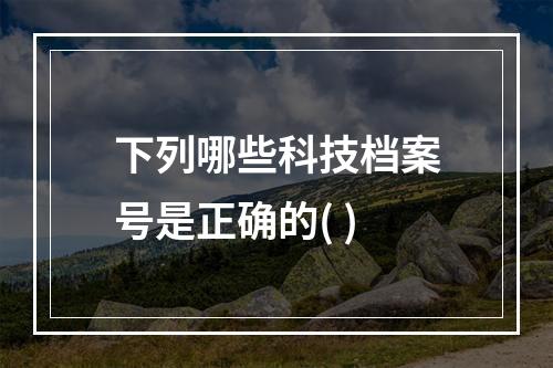 下列哪些科技档案号是正确的( )