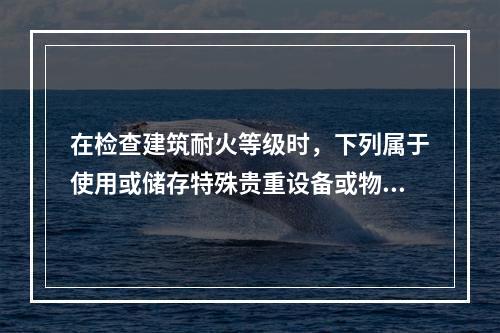 在检查建筑耐火等级时，下列属于使用或储存特殊贵重设备或物品建