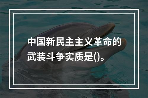 中国新民主主义革命的武装斗争实质是()。