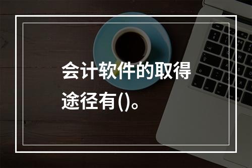 会计软件的取得途径有()。