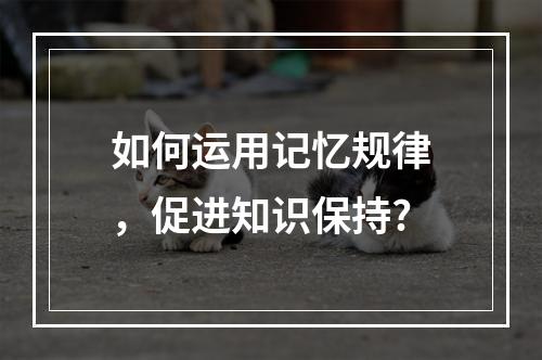 如何运用记忆规律，促进知识保持?