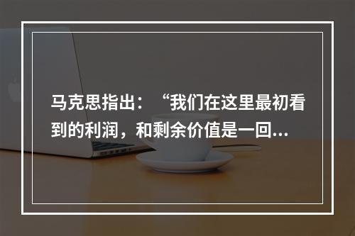 马克思指出：“我们在这里最初看到的利润，和剩余价值是一回事，