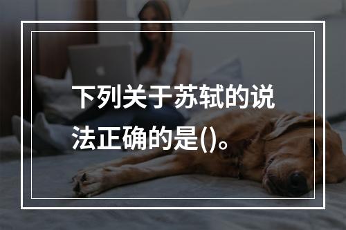 下列关于苏轼的说法正确的是()。