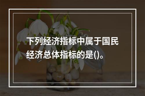 下列经济指标中属于国民经济总体指标的是()。