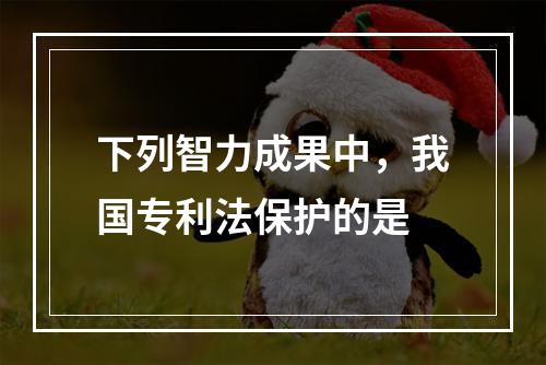 下列智力成果中，我国专利法保护的是