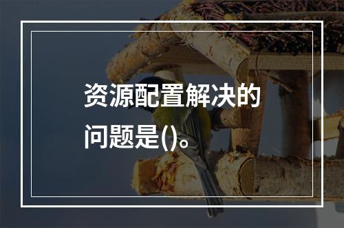 资源配置解决的问题是()。