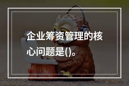 企业筹资管理的核心问题是()。