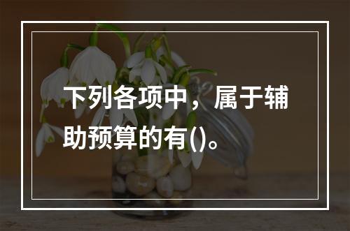 下列各项中，属于辅助预算的有()。