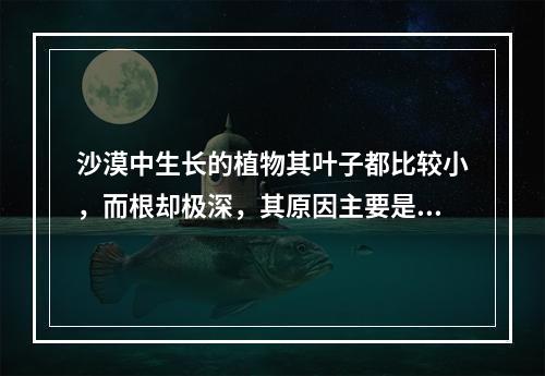 沙漠中生长的植物其叶子都比较小，而根却极深，其原因主要是()