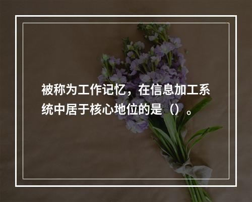 被称为工作记忆，在信息加工系统中居于核心地位的是（）。