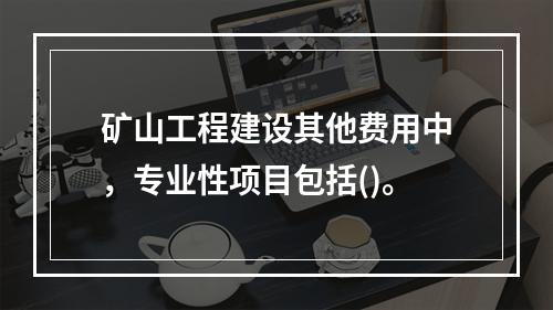 矿山工程建设其他费用中，专业性项目包括()。