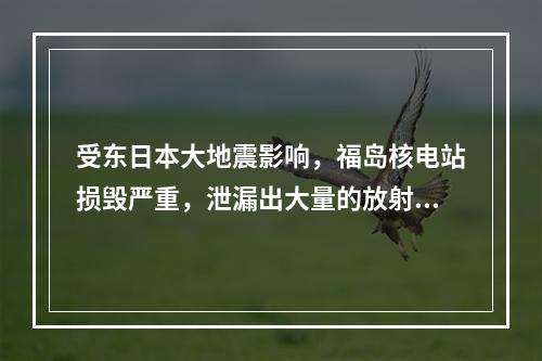 受东日本大地震影响，福岛核电站损毁严重，泄漏出大量的放射性物