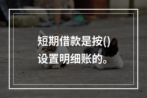 短期借款是按()设置明细账的。