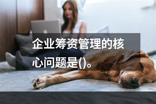 企业筹资管理的核心问题是()。