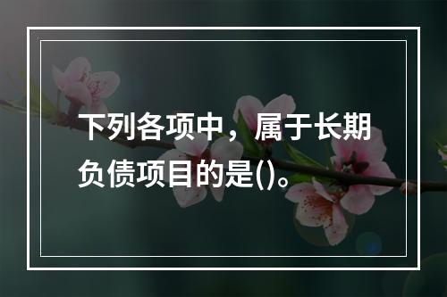 下列各项中，属于长期负债项目的是()。