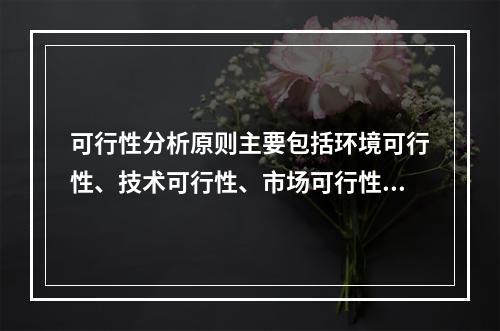 可行性分析原则主要包括环境可行性、技术可行性、市场可行性、财