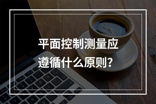 平面控制测量应遵循什么原则？