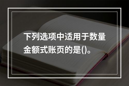 下列选项中适用于数量金额式账页的是()。