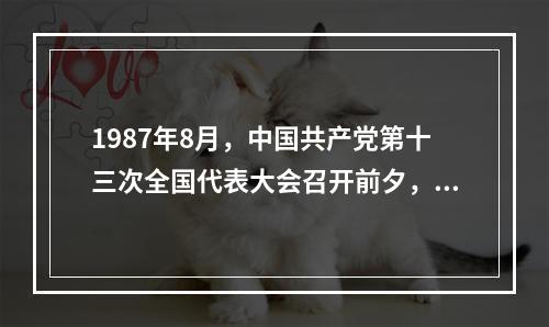 1987年8月，中国共产党第十三次全国代表大会召开前夕，邓小