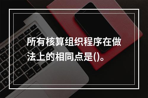 所有核算组织程序在做法上的相同点是()。