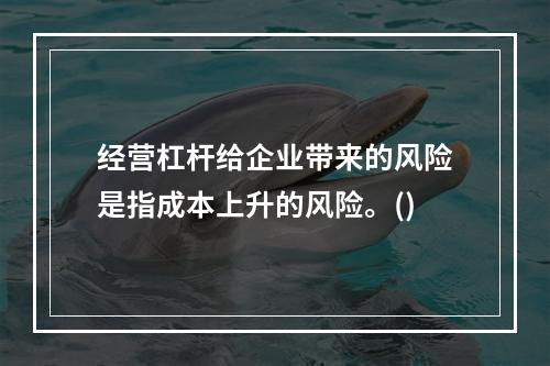 经营杠杆给企业带来的风险是指成本上升的风险。()