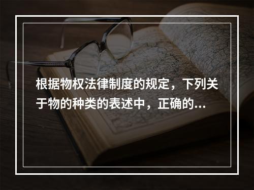 根据物权法律制度的规定，下列关于物的种类的表述中，正确的是(