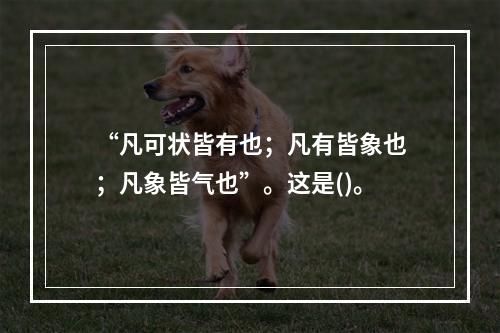 “凡可状皆有也；凡有皆象也；凡象皆气也”。这是()。