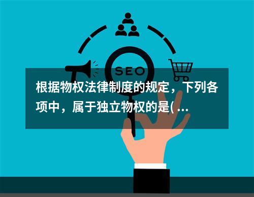 根据物权法律制度的规定，下列各项中，属于独立物权的是( )。