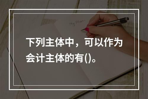 下列主体中，可以作为会计主体的有()。