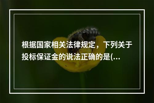 根据国家相关法律规定，下列关于投标保证金的说法正确的是()。