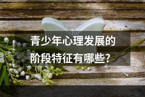 青少年心理发展的阶段特征有哪些?