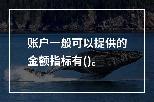 账户一般可以提供的金额指标有()。