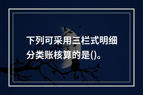 下列可采用三栏式明细分类账核算的是()。