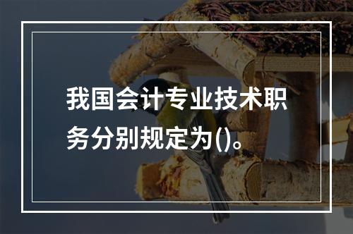 我国会计专业技术职务分别规定为()。