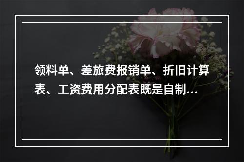 领料单、差旅费报销单、折旧计算表、工资费用分配表既是自制原始